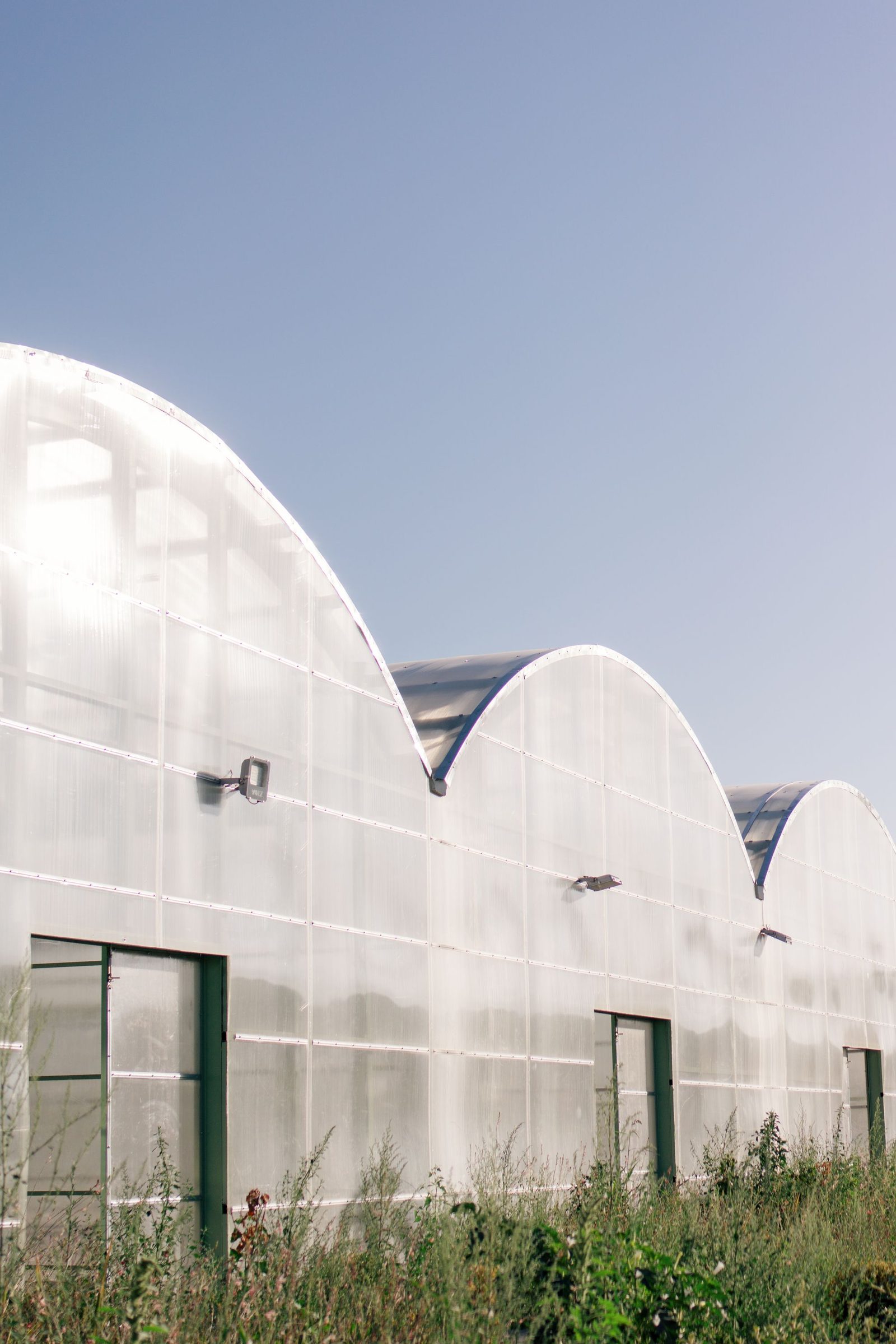 Milky translucent roof panels typical of older polycarbonate roofing